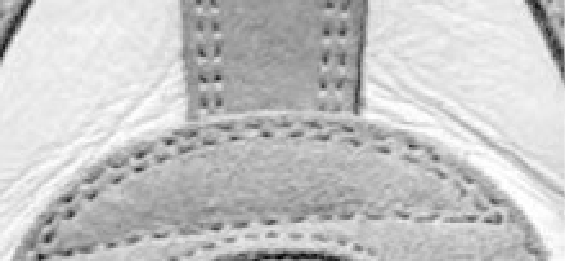 Trace visualization 5 — stitched material scan, edge detected