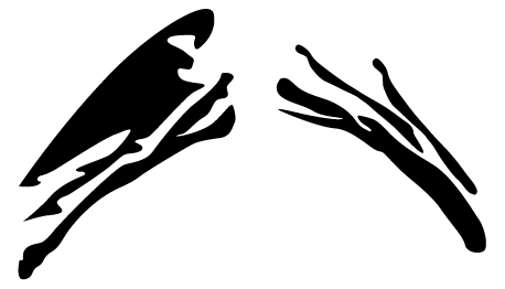 Trace visualization 6 — silhouette trace, branching form